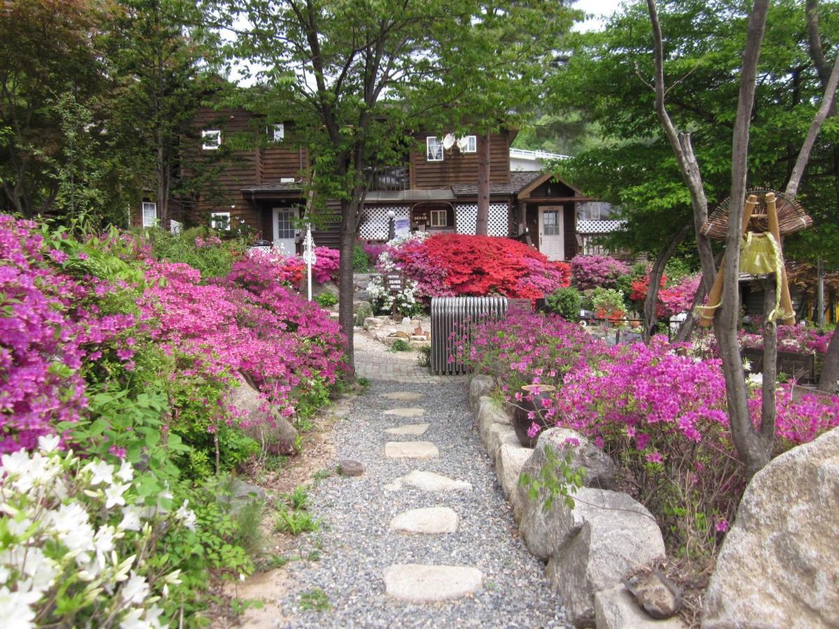 Mayfair Deneb Pension Pyeongchang Bagian luar foto